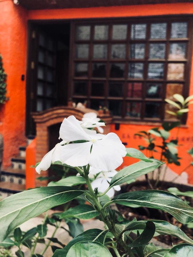 Hotel Casa Azul Guanajuato Zewnętrze zdjęcie
